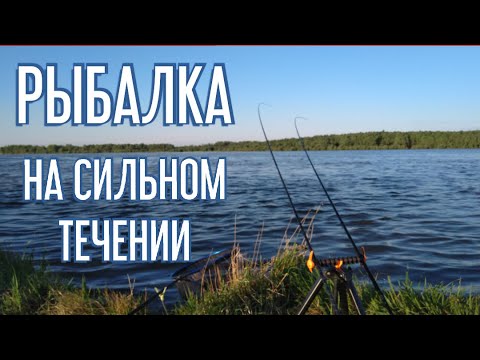 Видео: Рыбалка на сильном течении. Фидер 2020. Ловля леща и язя