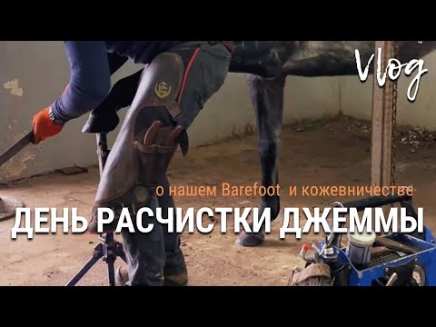 Видео: День расчистки Джеммы