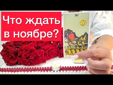 Видео: 🔞События ноября: Чем удивит месяц? 😳🫢