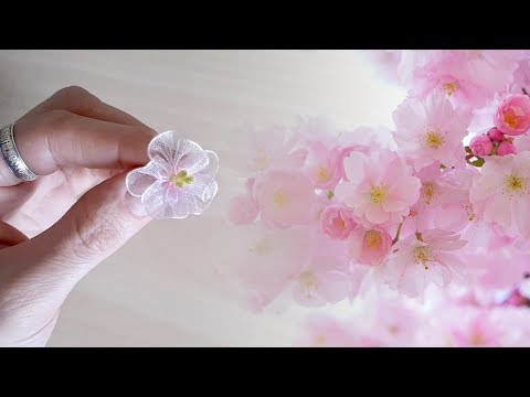 Видео: Цветы сакуры из узкой ленты