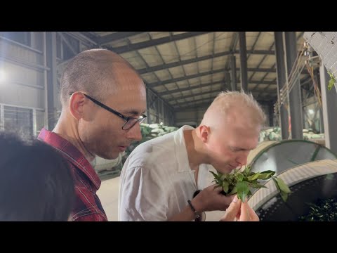 Видео: Мы в Китае | День 3: Белая Обезьяна встретилась с Белой Обезьяной