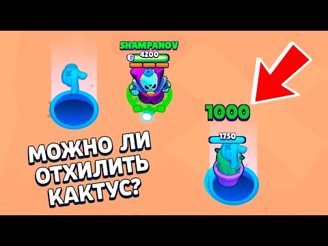 Видео: ПРОВЕРКА МИФОВ В БРАВЛ СТАРС! #2