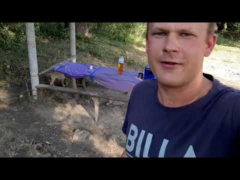 Видео: Рыбалка Турунчук тракторная бригада с.Яски карпы караси отпускаем маленьких сомиков