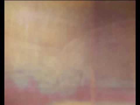 Видео: Дизельная часть тепловоза ЧМЭ-3.