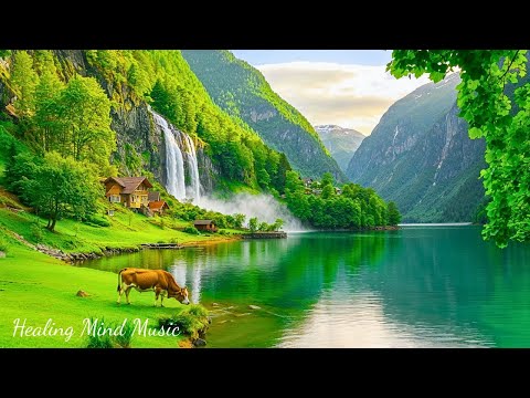 Видео: Красивая целебная музыка 🌿 Глубокая релаксация: фортепианная музыка и звуки природы