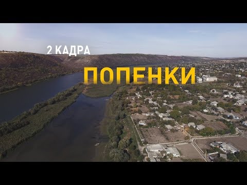 Видео: Попенки. 2 кадра 19.10.2019