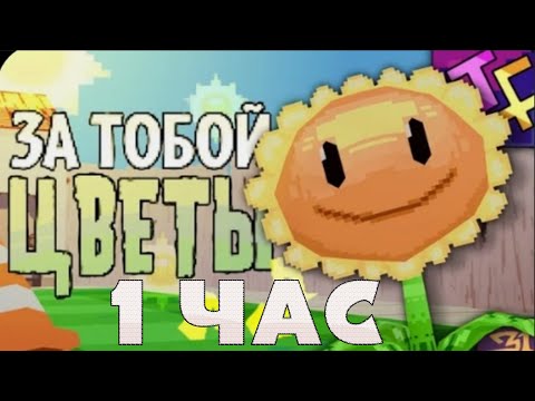 Видео: ЗА ТОБОЙ ЦВЕТЫ 1 ЧАС! @JF_Voice‬