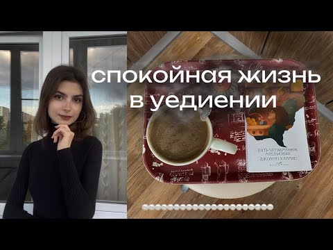 Видео: тихая жизнь в уединении | комфортный влог, уютная рутина, покупки канцелярии, повседневность