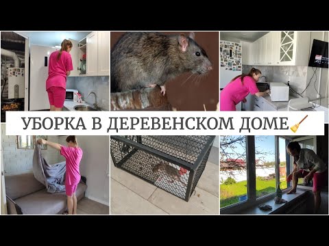 Видео: МОТИВАЦИЯ НА УБОРКУ🧹УБОРКА В СТАРОМ ДЕРЕВЯННОМ ДОМЕ🪄ЗАВЕЛИСЬ КРЫСЫ😱