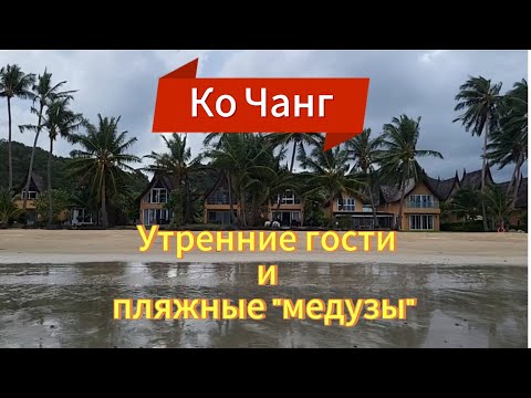 Видео: 20 серия. Наше утро на вилле. Ворчу с утра и убираю пляж 😄 Siam Royal View. Ко Чанг. Таиланд.