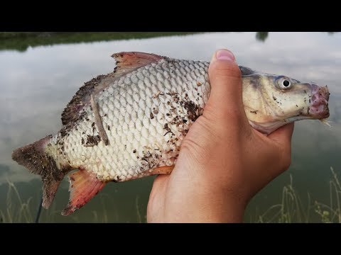 Видео: Рыбалка близ города Алматы 2019! Буря на Нижнем Исаевском озере.