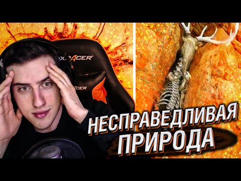 Видео: Hellyeahplay смотрит: Животные, с Которыми Природа Обошлась Несправедливо