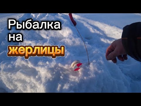 Видео: Не за рыбой, а на рыбалку! Щука на ЖЕРЛИЦЫ!