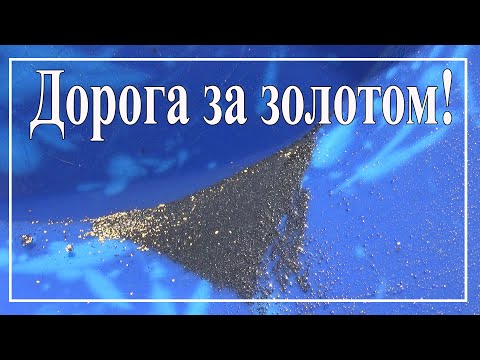 Видео: Дорога за золотом!