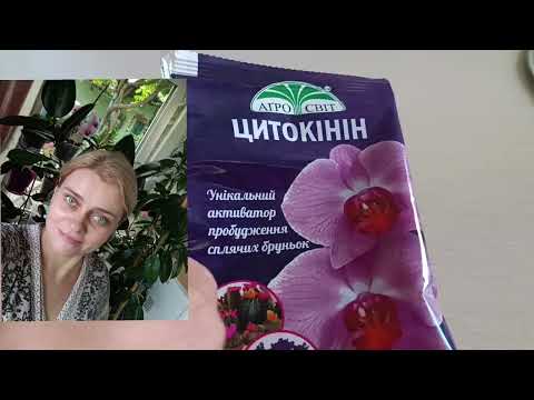 Видео: Цитокінінова паста у квітникарстві: пробудження бруньок у Аденіумів та Філодендронів