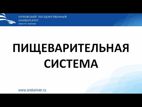 Видео: Пищеварительная система. Гистологические препараты