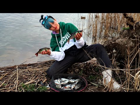 Видео: ПОПАЛА НА РАЗДАЧУ! ЗДОРОВАЯ ПЛОТВА на фидер. Рыбалка в Беларуси #160