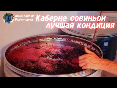 Видео: Каберне совиньон. Лучшая кондиция в моей жизни! Какое будет вино?