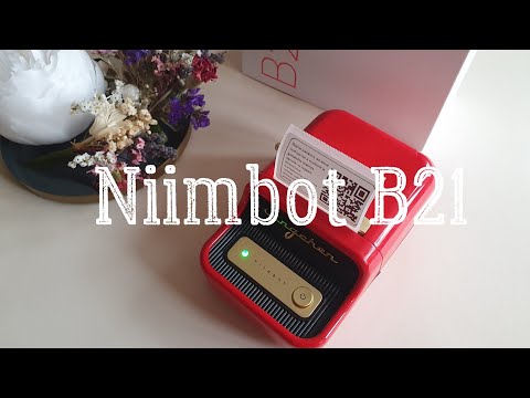 Видео: Распаковка, обзор и отзыв на портативный термопринтер Niimbot B21