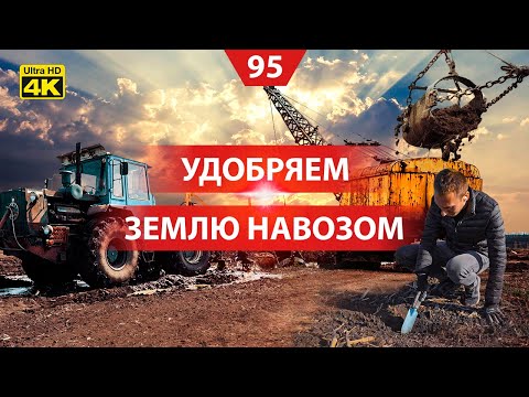 Видео: Переработка и внесение навоза КРС. Посев кукурузы сеялкой из Америки
