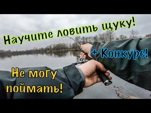 Видео: Научите ловить ЩУКУ! Не могу поймать рыбу!