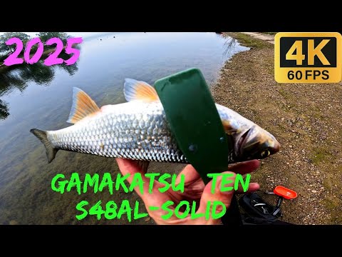 Видео: Елец на мормышку с  Gamakatsu LUXXE Yoihime Ten S48AL-solid