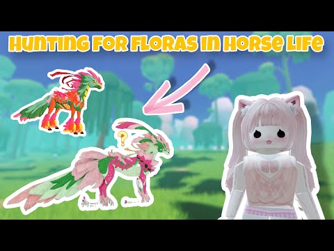 Видео: Охота за новыми видами ФЛОРЫ В ЖИЗНИ ЛОШАДЕЙ!!