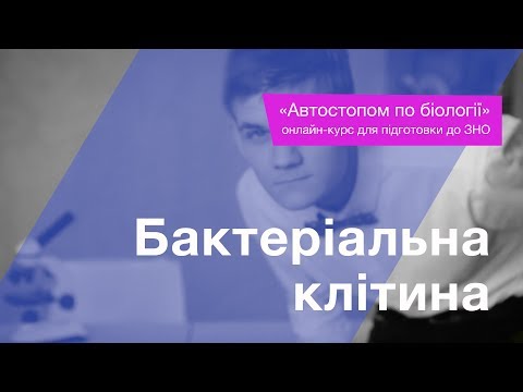 Видео: Бактеріальна клітина – Підготовка до ЗНО – Біологія