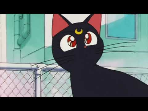 Видео: Наталья Ветлицкая - Лунный кот (𝙨𝙡𝙤𝙬𝙚𝙙 + 𝙧𝙚𝙫𝙚𝙧𝙗)