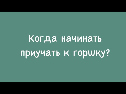 Видео: Горшок! Когда к нему приучать.
