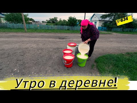 Видео: КАК ЖИВЁТ ДЕРЕВНЯ В СИБИРИ. Как победить муравьёв. Омская деревня.