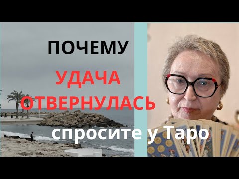 Видео: Что делать, чтобы добиться успеха?