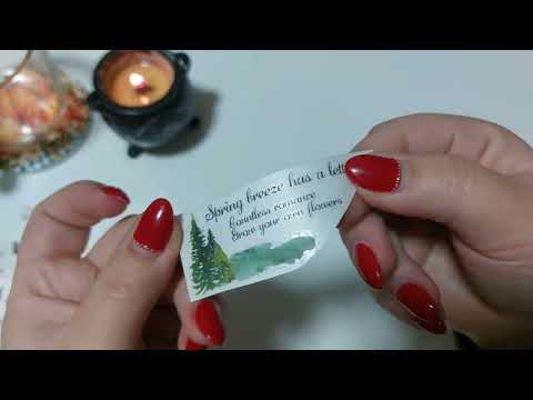 Видео: Переводные наклейки для Midori Hibino 