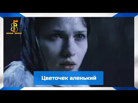 Видео: группа "Чёрные береты" - Цветочек аленький