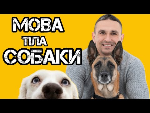 Видео: МОВА ТІЛА СОБАКИ
