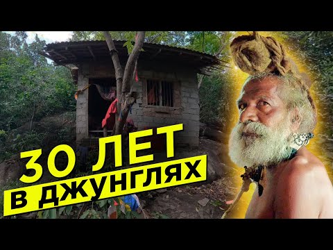 Видео: ОТШЕЛЬНИК буддист в джунглях Шри-Ланки. Без денег и паспорта