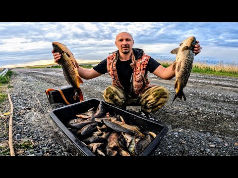 Видео: САЗАНЫ В КАНАВЕ ЁКЛМН или рыбалка на паук с подводной камерой. Рыбалка на сазана. Рыбалка 2024.