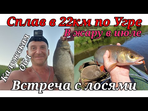 Видео: Сплав 22 км по Угре в Калужской области! рыбалка на хищника в июле в жару