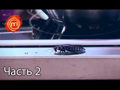 Видео: МастерШеф. Сезон 6. Выпуск 25. Часть 2 из 4 от 22.11.16
