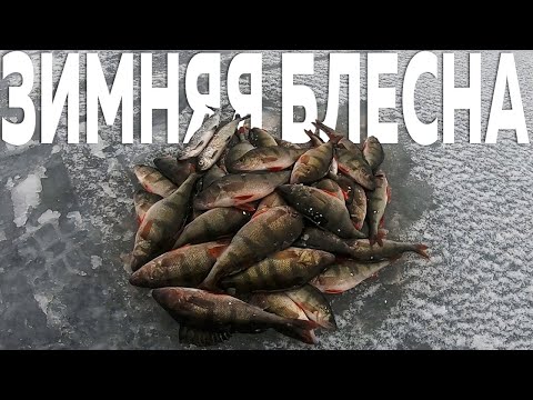 Видео: ЗИМНЯЯ БЛЕСНА. РЫБАЛКА НА ОКУНЯ НА ЛАДОГЕ. ЗИМНЯЯ РЫБАЛКА В ОТТЕПЕЛЬ.