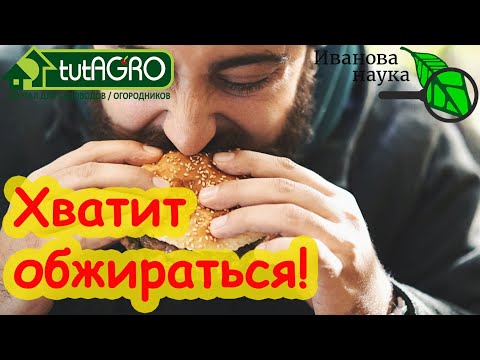Видео: КАК УМЕНЬШИТЬ АППЕТИТ В ДОМАШНИХ УСЛОВИЯХ и ПЕРЕСТАТЬ ОБЖИРАТЬСЯ.