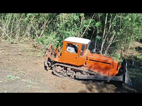 Видео: ДТ 75 не выдержал нагрузки 😭