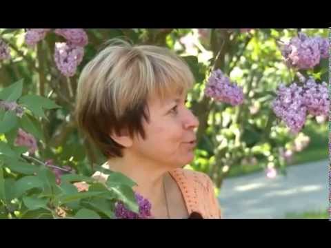 Видео: Ландшафтные хитрости. Выпуск 103