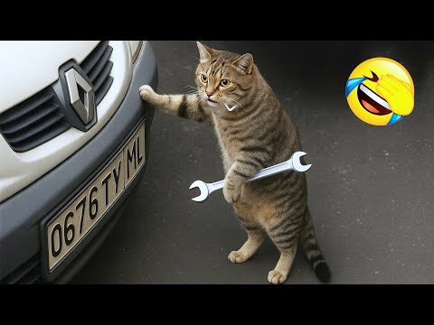 Видео: Ты смеешься – ты проиграл 😂 Смешные видео с животными 2025 😅 Часть 5