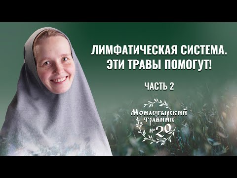 Видео: Какие травы применять? К здоровью через лимфатическую систему. Монастырский травник. Часть 2