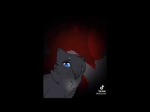 Видео: кв коты-воители из тик тока #1 #котывоители #кв