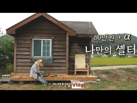 Видео: 2 сентября]У меня теперь есть маленький домик /Кимчи из зеленого лука/Приготовление кимчи из огурцов