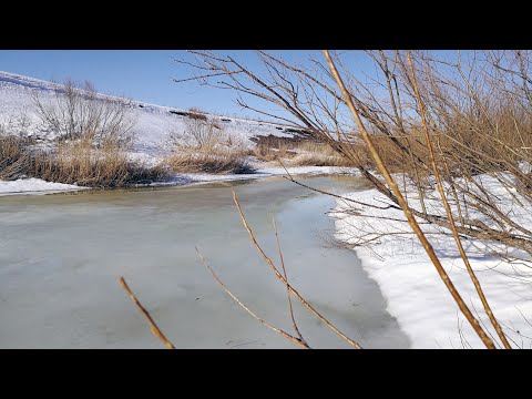 Видео: ПОСЛЕДНИЙ ЛЕД! Закрытие на малой реке, мормышка и жерлицы