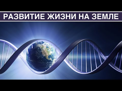 Видео: Развитие жизни на Земле: краткая история нашей планеты