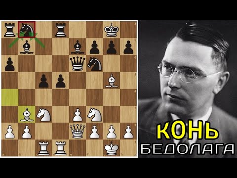 Видео: Макс ЭЙВЕ и конь-бедолага Теодора ТЕЙЛОРА ♟ Шахматы